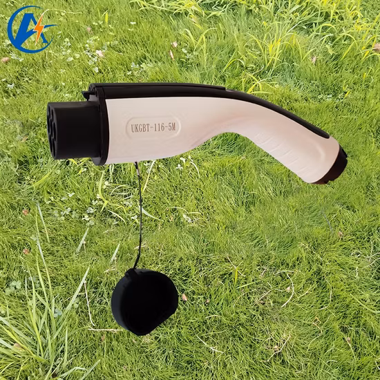 Type2 충전 플러그가 포함된 Evse AC EV 충전기 11kW 월박스